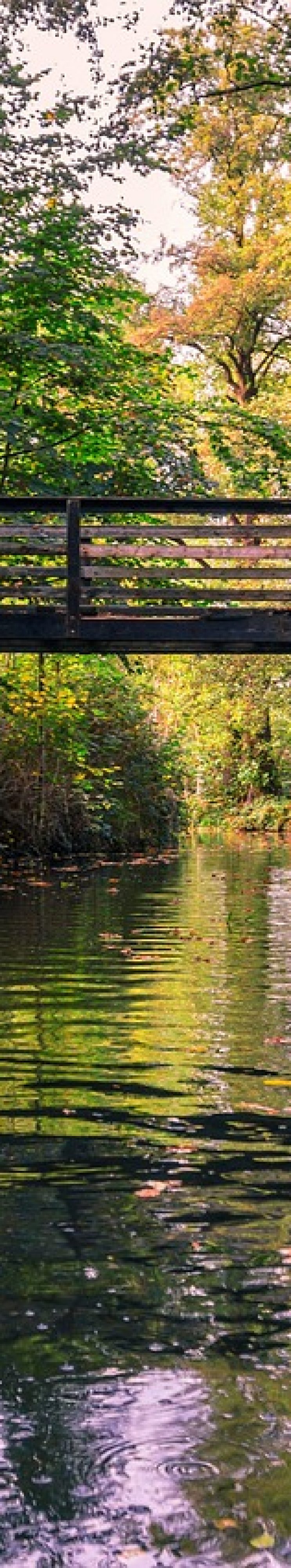 spreewald-3812706_1280